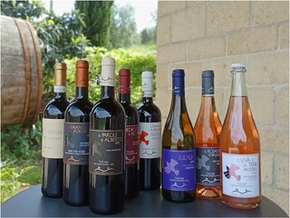 Vakantieappartement Ponsacco Document 31