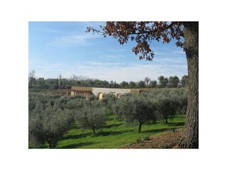 Appartamento per vacanze Ponsacco Ambiente 23