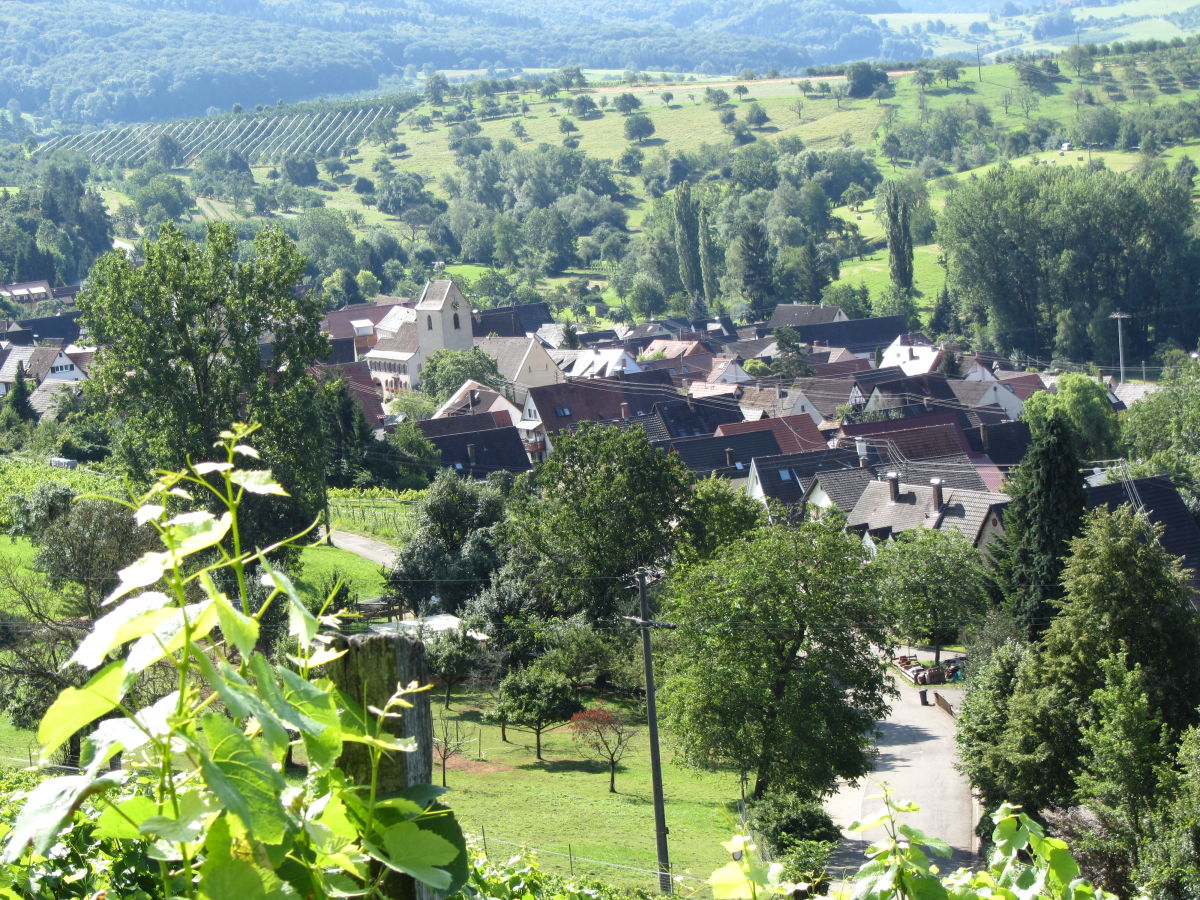 Der Blick auf Feldberg