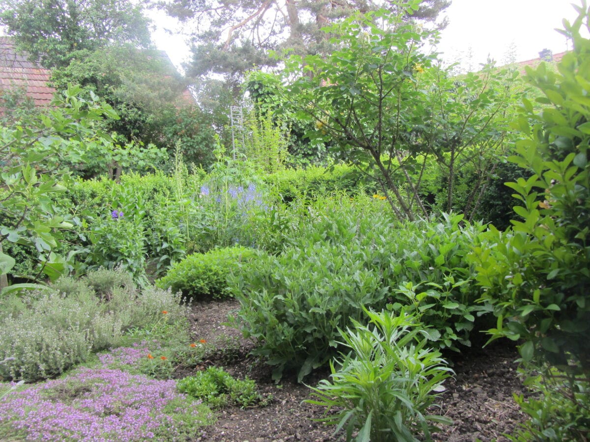 Der Bauerngarten