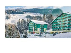 Apartment Alpine Studio M9 - Schladming - image1