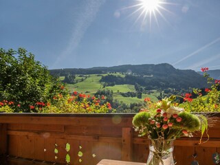 IMG_6043a-Balkon-mitte-Auss