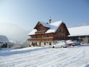 Apartment Steinwenderhof - Schladming - image1