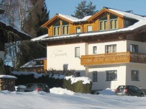Apartment Pension Steiermark - Schladming - image1