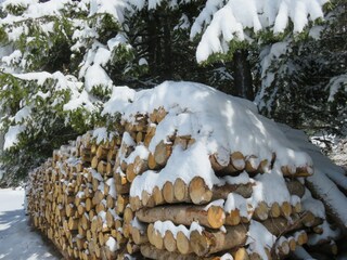 Appartamento per vacanze Kastelruth Registrazione all'aperto 7