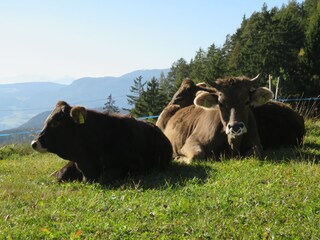 Appartamento per vacanze Kastelruth Registrazione all'aperto 5