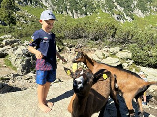 Spiegelsee_Reiteralm