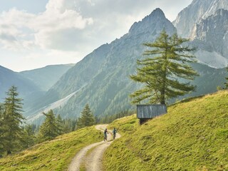 E_Bike__DSC2720(c) Peter Burgstaller