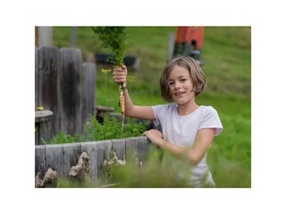 Appartamento Pichl Registrazione all'aperto 29