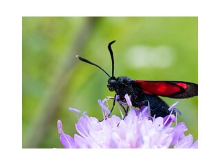 Appartamento Pichl Registrazione all'aperto 56