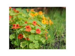 Appartamento Pichl Registrazione all'aperto 60