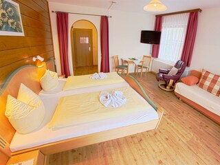 Camera per vacanze Pichl Caratteristiche 66