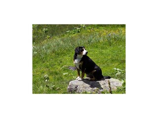 Camera per vacanze Pichl Registrazione all'aperto 25