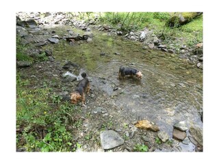 Camera per vacanze Pichl Registrazione all'aperto 45