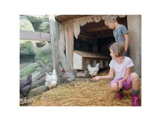 Camera per vacanze Pichl Registrazione all'aperto 20