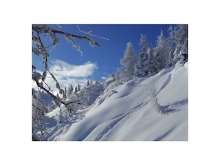 FB_IMG_1516314198390