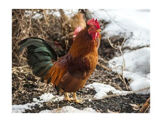 _Ramsau-14_010914-195