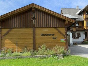 Apartment Obergrabnerhof - Ski amadé - image1