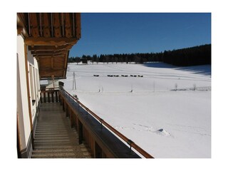 Blick zu den Loipen und Pferdeschlitten-Wanderweg