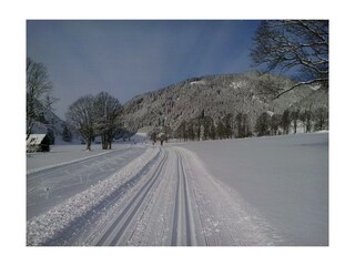 Langlaufloipe direkt neben der Pension