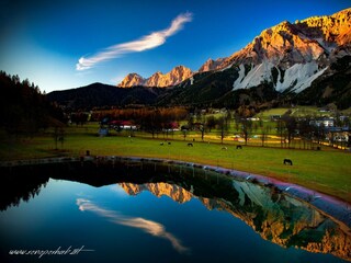 12239233_931901540232825_7639613399380721104_o