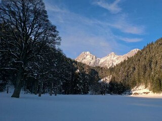 WP_20181218_14_23_21_Pro