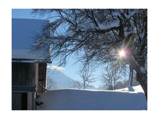 Sonnenaufgang im Winter