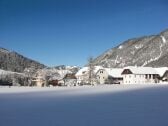 Urlaub am Peterhof - ohne Schneeketten erreichbar