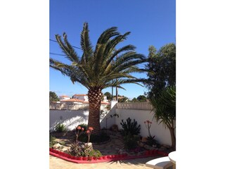 Villa Miami Playa Registrazione all'aperto 7