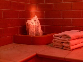 Tepidarium mit Infrarot