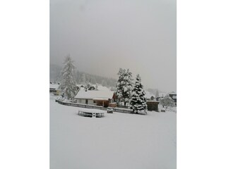 IMG_20231202_141804