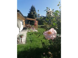 IMG_20231003_143737
