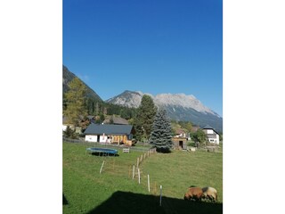 IMG_20231003_144918