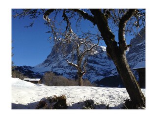 Aussicht auf das Wetterhorn