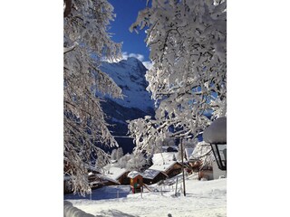 Holiday apartment Grindelwald Outdoor Recording 6