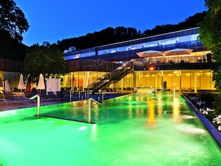 Holiday apartment Bad Gleichenberg Swimming Pool 9