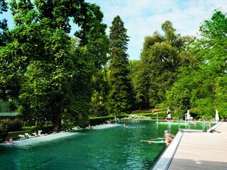 Appartamento per vacanze Bad Gleichenberg Piscina 10