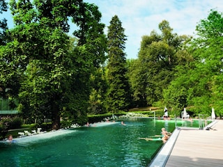 Holiday apartment Bad Gleichenberg Swimming Pool 10