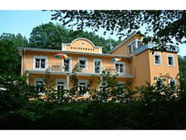 Holiday apartment Villa Waldesruhe