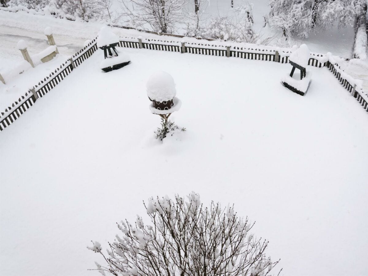 Aussicht vom Balkon in den Garten