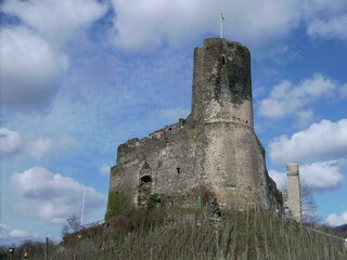 Vakantiehuis Bernkastel-Kues Omgeving 25