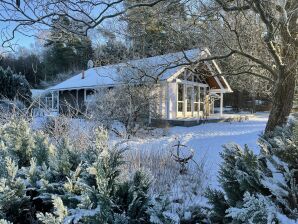 dänisches Ferienhaus - Dorf Zechlin - image1