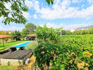 Blick auf die Villa Kucica von unserem Weinberg