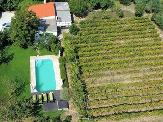 Villa Kucica pool,vineyard and garden