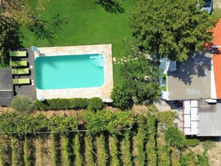 Villa Kucica pool and the garden