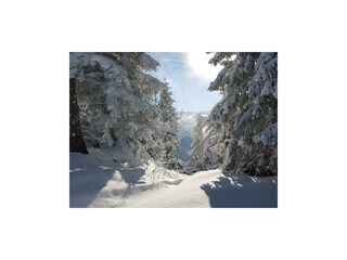 ski-1156460_960_720[1]