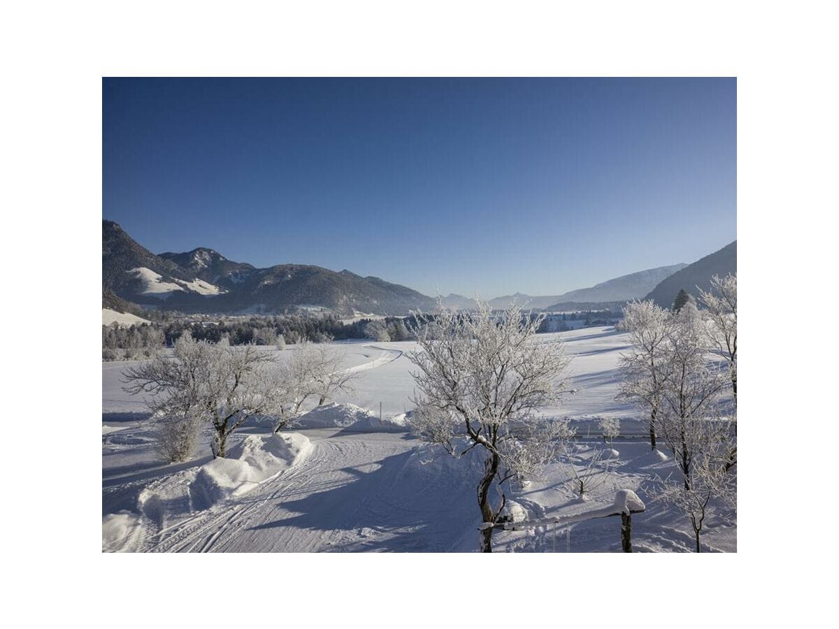 Ausblick auf Loipe und Walchsee