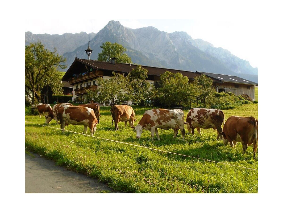 Der Sattlerhof mit dem Zahmen Kaiser