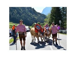 Almabtrieb