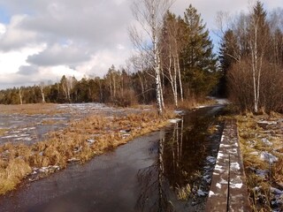 Hiking in the moor